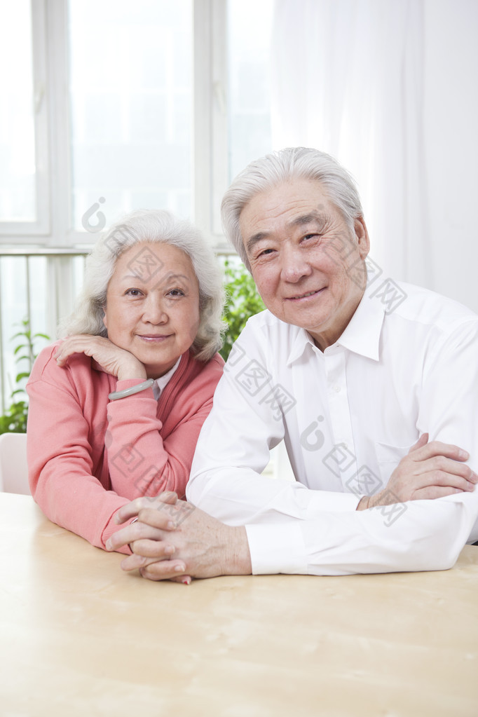 高级夫妇的肖像 老年夫妻