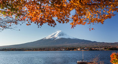 富士山风光和秋叶