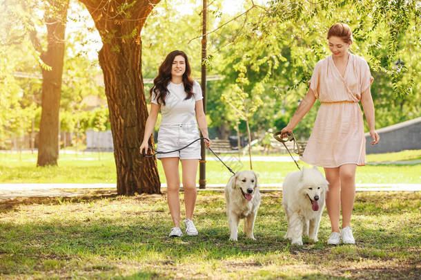 年轻女人带着可爱的狗在<strong>公园里散步</strong>