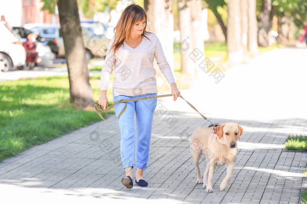 成熟的女人在公园里遛她的狗