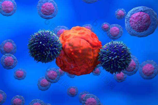 3D例CAR T细胞侵袭癌细胞与健康细胞