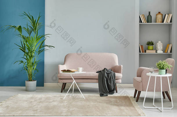 灰色和蓝色客厅风格，现代小沙发，地毯地板，绿色植物花瓶和<strong>货架</strong>概念.