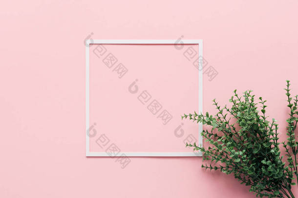 白色正方形和绿色植物在粉红色, 简约的概念的最高视图