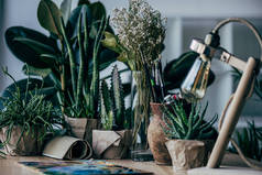 绿色植物与美术用品桌上