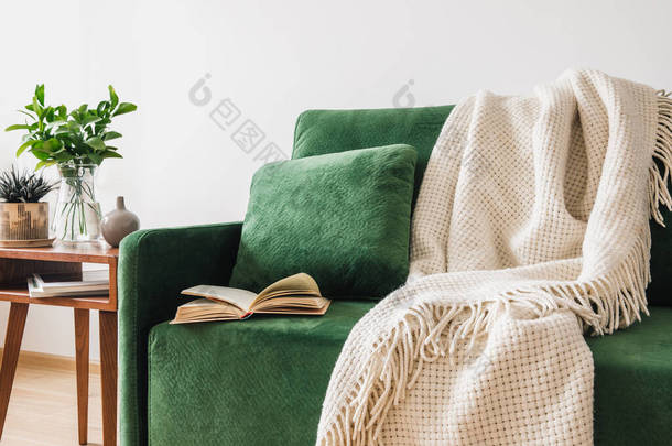 有枕头、书和毛毯<strong>的</strong>绿色沙发，靠近有<strong>植物的</strong>木制咖啡桌 