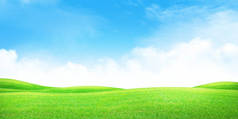 绿色草场，蓝天，阳光明媚的夏景背景