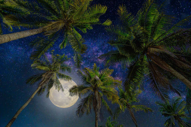 剪影椰子棕榈树的满月与银河系在夜晚的天空上。（由美国国家航空航天局提供这<strong>月亮</strong>意象<strong>元素</strong>)