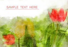 花卉水彩郁金香背景用于卡片或其他设计，空白区域用于示例文本