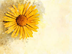 黄色雏菊：大丽花：背景水彩风格插花、请柬、生日
