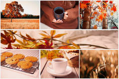 七张照片的秋季拼贴。 热茶，秋天的风景，树叶，饼干。 掉下去 温暖和舒适