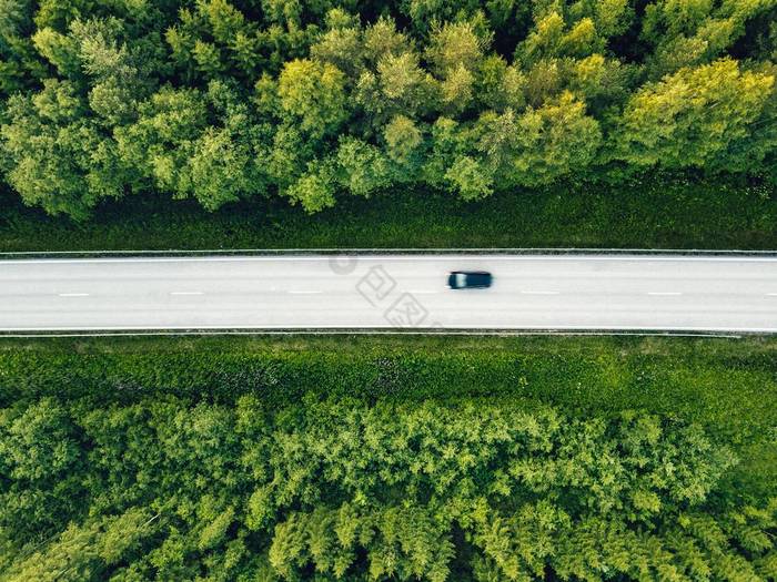 有道路的绿色夏季森林的空中景观. 