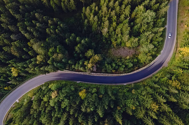 穿过松树林的弯曲山路的<strong>空中</strong>俯瞰.