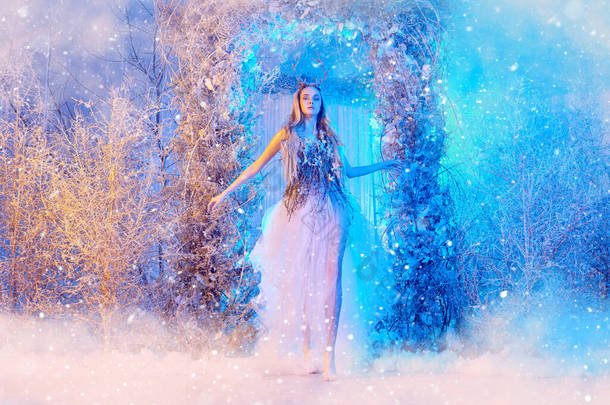 一个神奇的童话世界美丽的森林仙女在神奇的冬季森林里. 