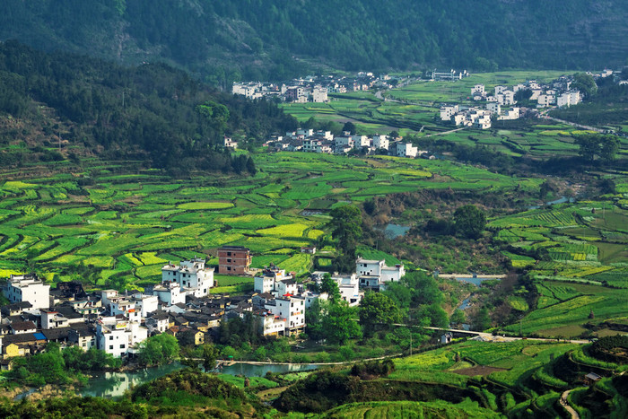 婺源县农村景观