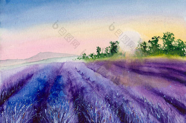  落日下紫色薰衣草地的水彩画，地平线上有树木