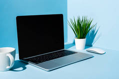 现代笔记本电脑，电脑鼠标靠近绿色植物，杯子蓝色背景