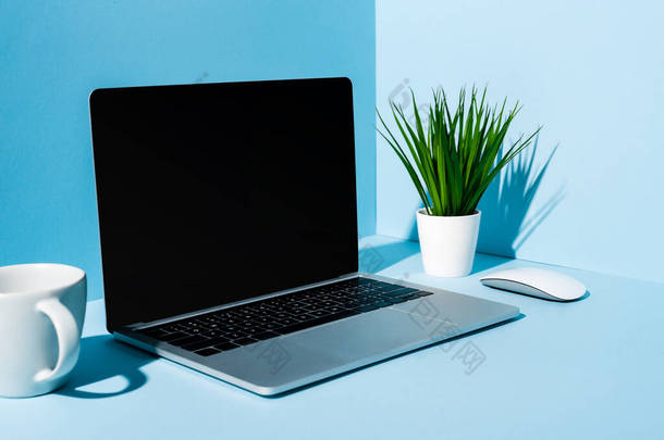 现代笔记本电脑，电脑鼠标靠近绿色植物，杯子蓝色背景