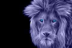 一只狮子的蓝色肖像