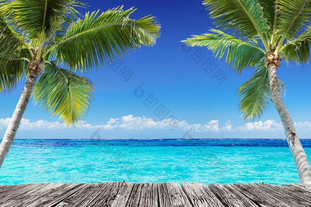 用木板和棕榈树上绿松石海洋-暑假背景的热带海景