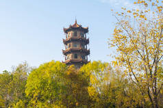 中国湖北省武汉市解放公园晚秋风景