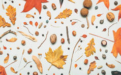 秋季装饰平整，叶和枝图案顶视图为背景
