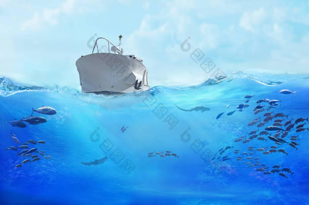 小船在海里。大群的鱼在海里有海生动物的海底世界.