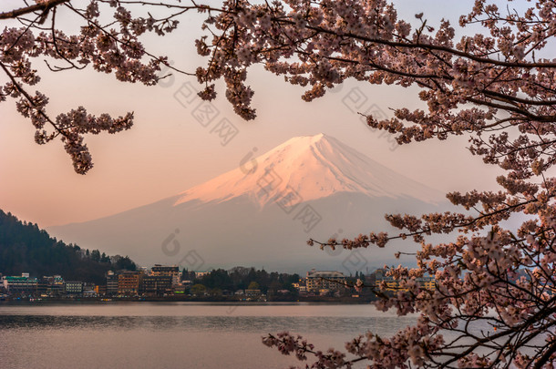 富士山，富士山查看从河口湖，日本与<strong>雪儿</strong>