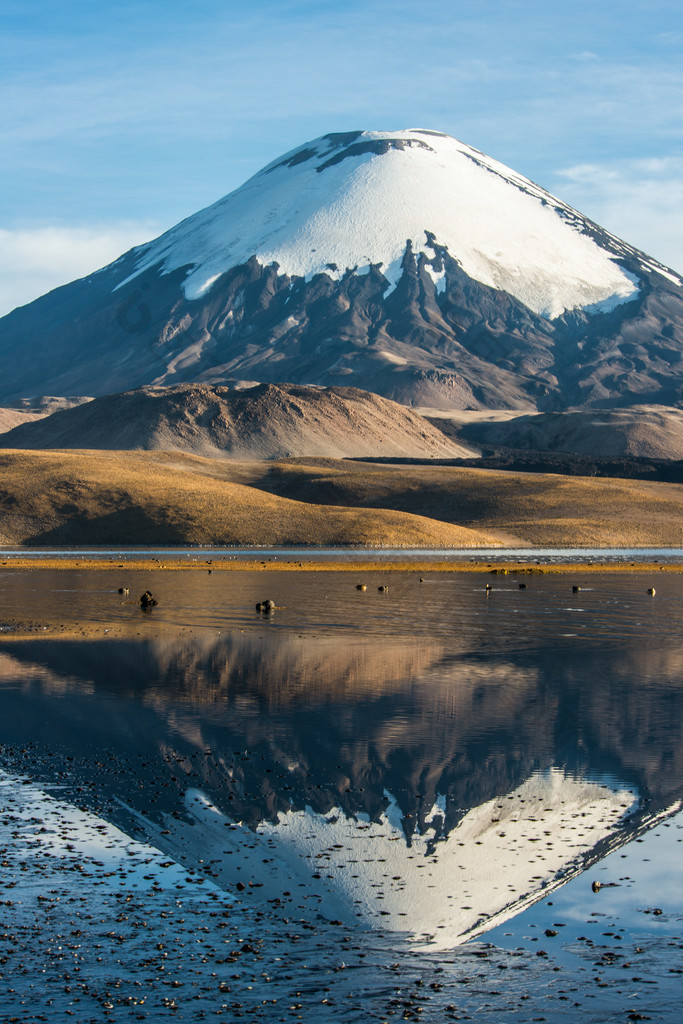 雪覆盖 Parinacota Volcano 在湖 Chungara，智利