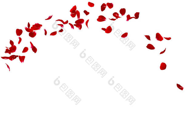 红玫瑰花瓣在圆圈中飞舞。您的照片或文本的中心可用空间