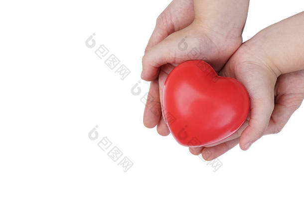 成人和儿童手捧着红色的心, 爱与<strong>健康</strong>的概念, 家庭保险。世界心脏日, 世界卫生日。情人节. 白色背景下的心脏孤立形状.