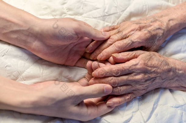 老的和年轻的手。一个82岁的老妇人的手在一个孙子的手里