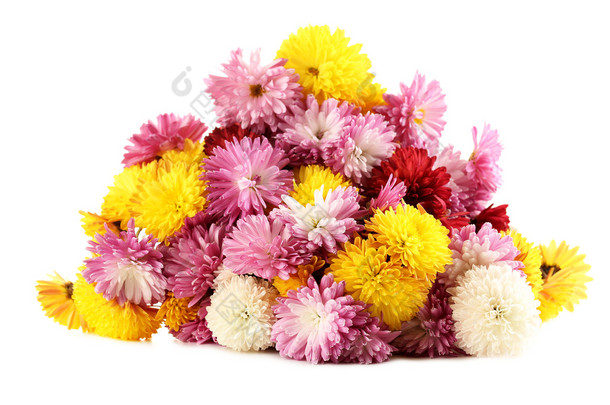 五颜六色的菊花的花束