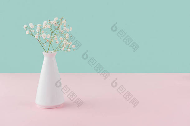 粉红色和绿松石带复制空间的白色嫩花花瓶