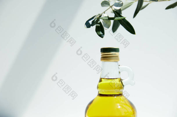 一瓶芳香橄榄油和树枝在白色背景上