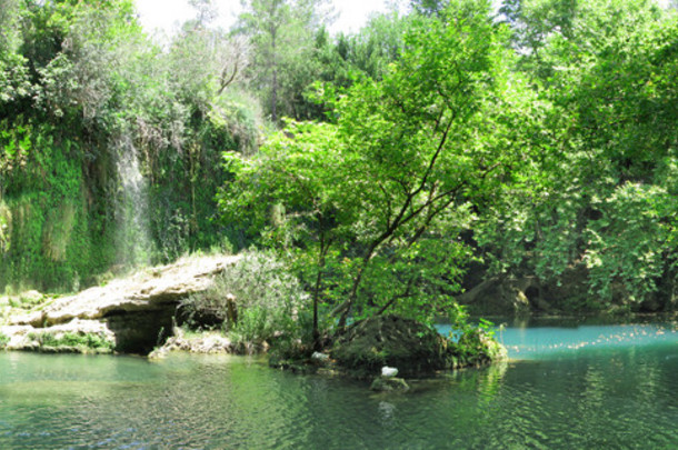 瀑布层叠式全景<strong>深林</strong>