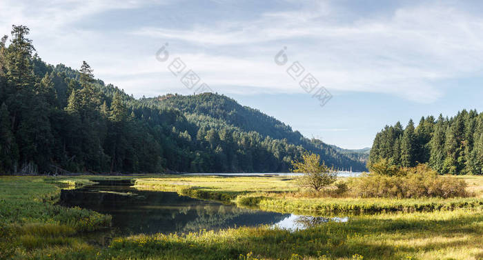 水与潮汐汊道的沼泽草和山在背景的山水风光.