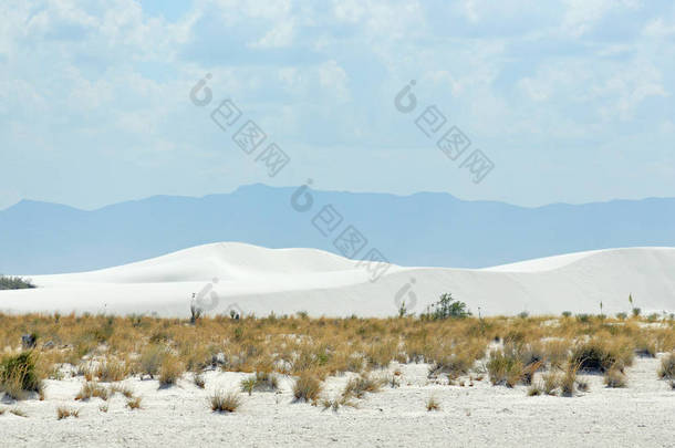 在新墨西哥州南部的沙漠中, 白色的沙丘以山脉为背景