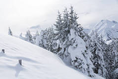 冬季景观与雪树和山脉，阿尔卑斯山山