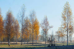 美丽的阳光明媚的秋天风景与霜冻