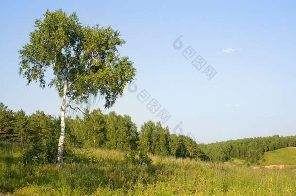 夏季风景