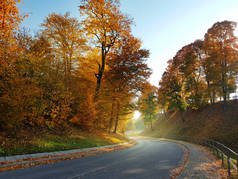 丰富多彩的秋季景观。道路弯曲和金黄树风景