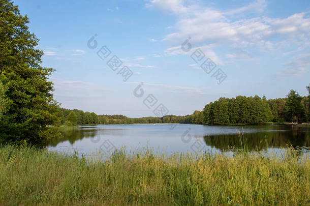 在阳光明媚的夏日，波兰中部森林环绕的美丽浅蓝色湖的风景.