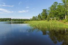 美丽的湖景景观，周围环绕着绿色的森林树木和植物。蓝天反射在镜面。瑞典。欧洲. 