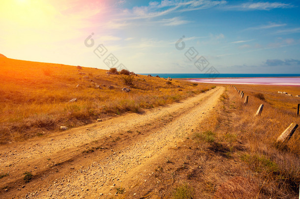 沙漠中的土路