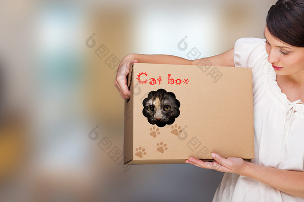 年轻漂亮女人与猫在纸箱中的肖像