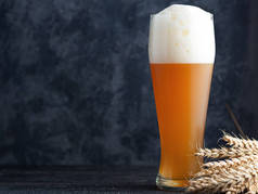 一杯未过滤的麦芽啤酒，有漂亮的泡沫帽，深色背景，有彩色和麦穗