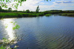夏日, 在小湖上欣赏美丽的景色。瑞典.