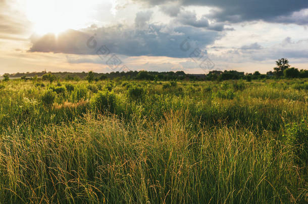 日落时美丽的<strong>夏季</strong>草甸.<strong>夏季</strong>风景.