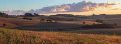 在阳光明媚的早晨, 可以欣赏到田野和草地的美景