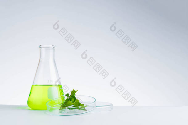 <strong>中药</strong>天然有机和科学玻璃器皿
